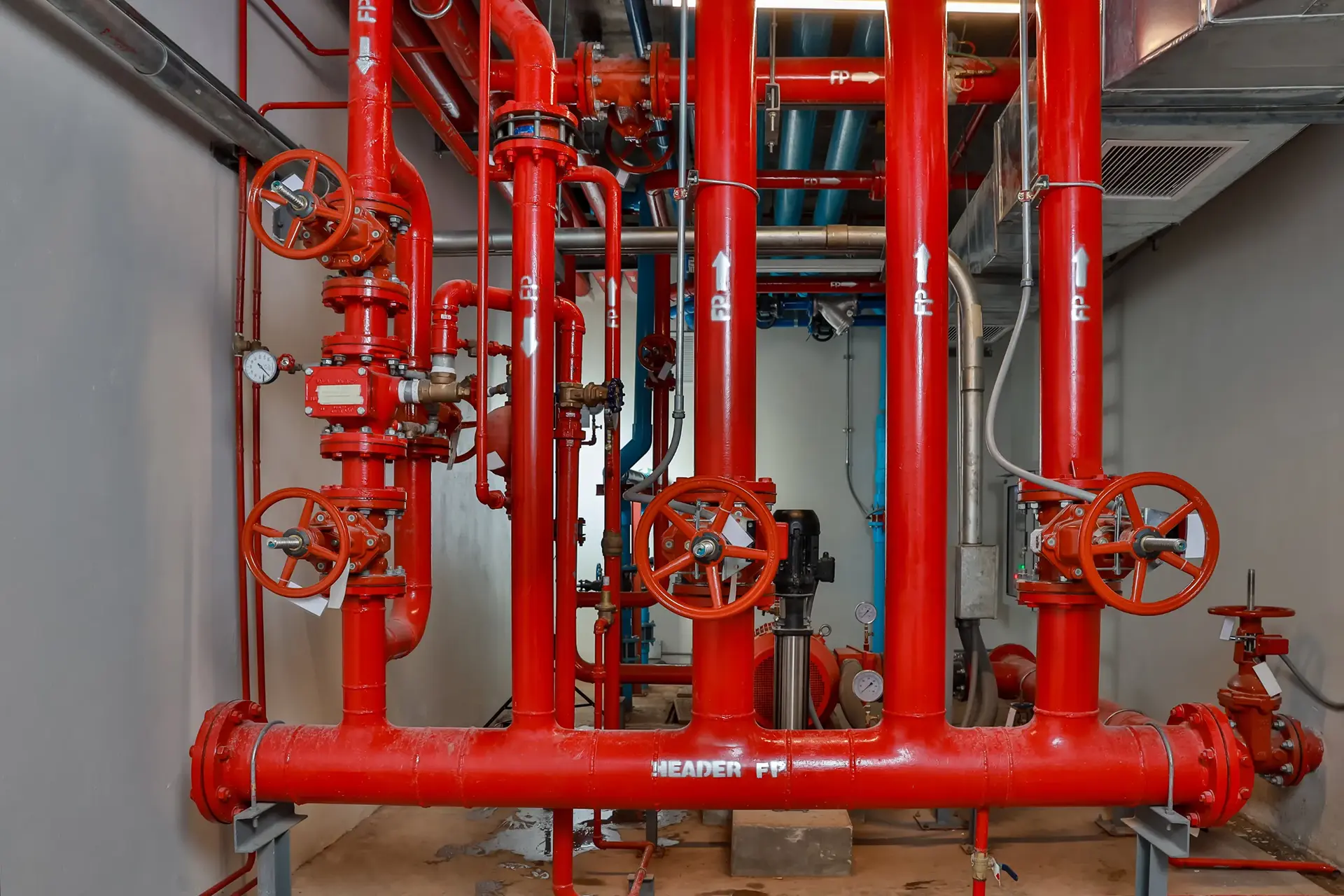 Fire Hydrants and Sprinkler Systems